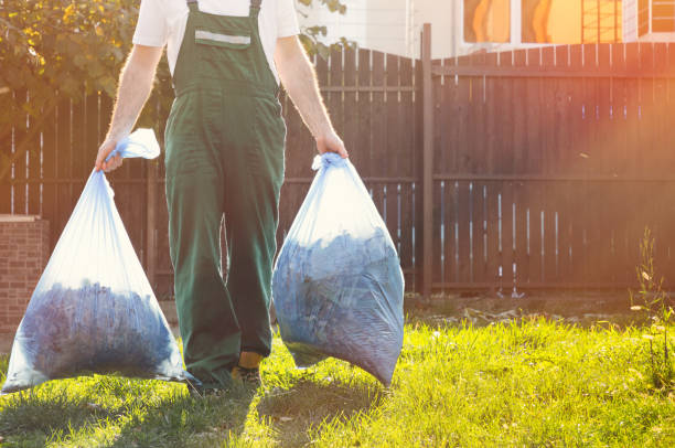 Shed Removal in Avon Lake, OH